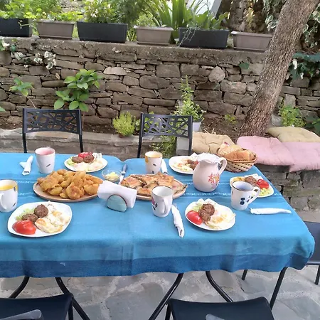 Shtepia E Trendafilave Vendégház